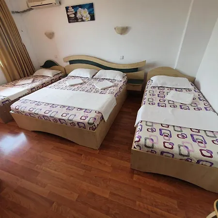 Sophia 게스트하우스